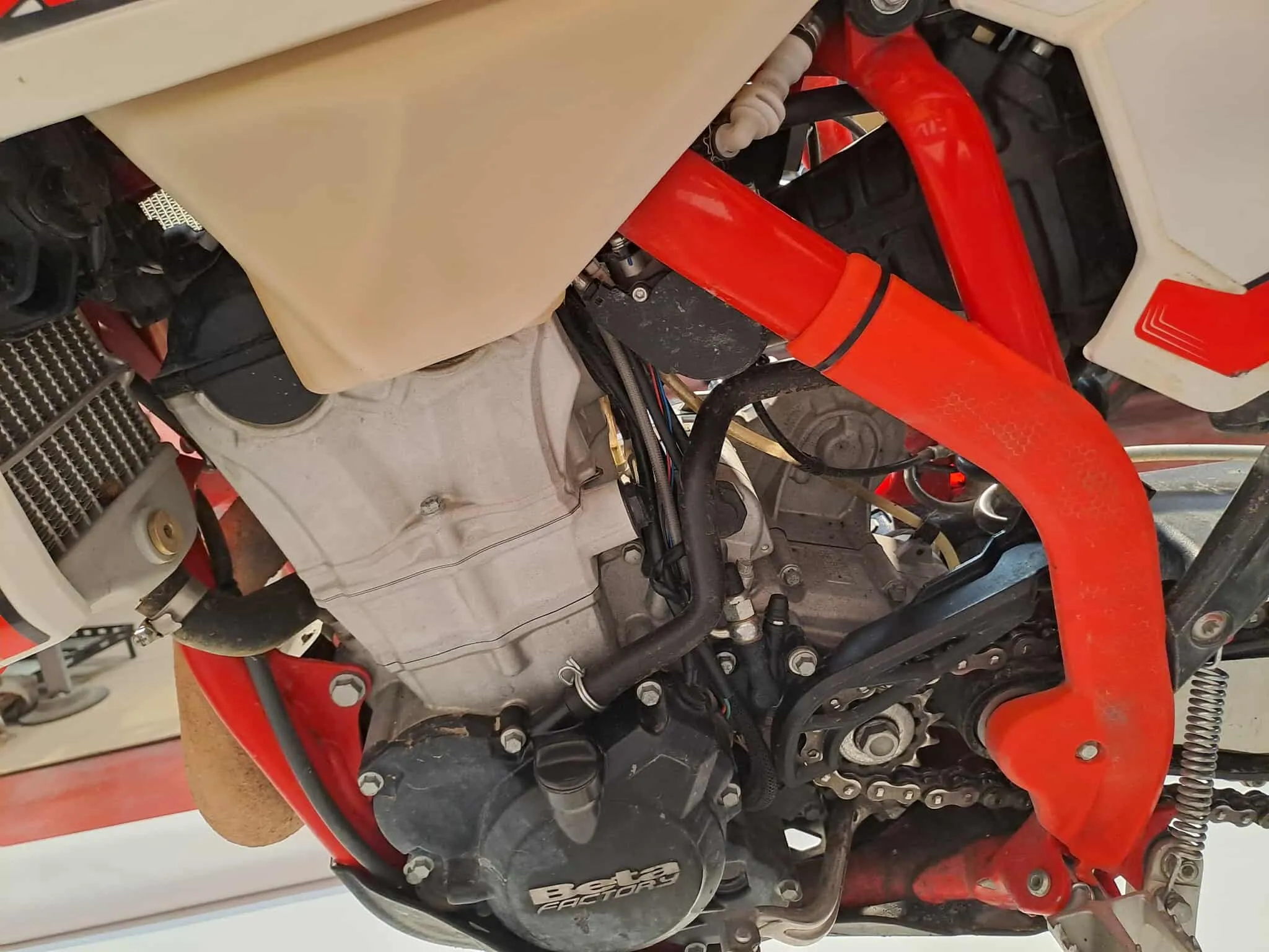 553230635_1234820261996703_8060758377607423561_n